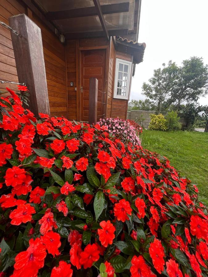 Casa De Madeira Em * Lavras Novas